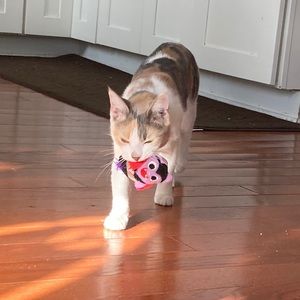 Meet your Posher, Douglas